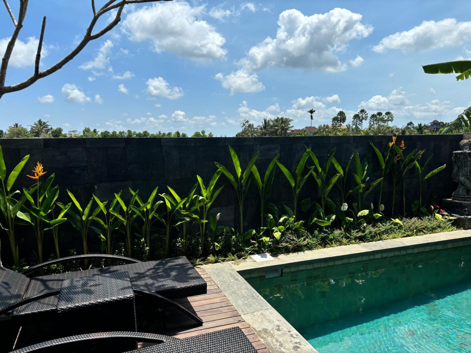 Uma Padi Pousada Ubud