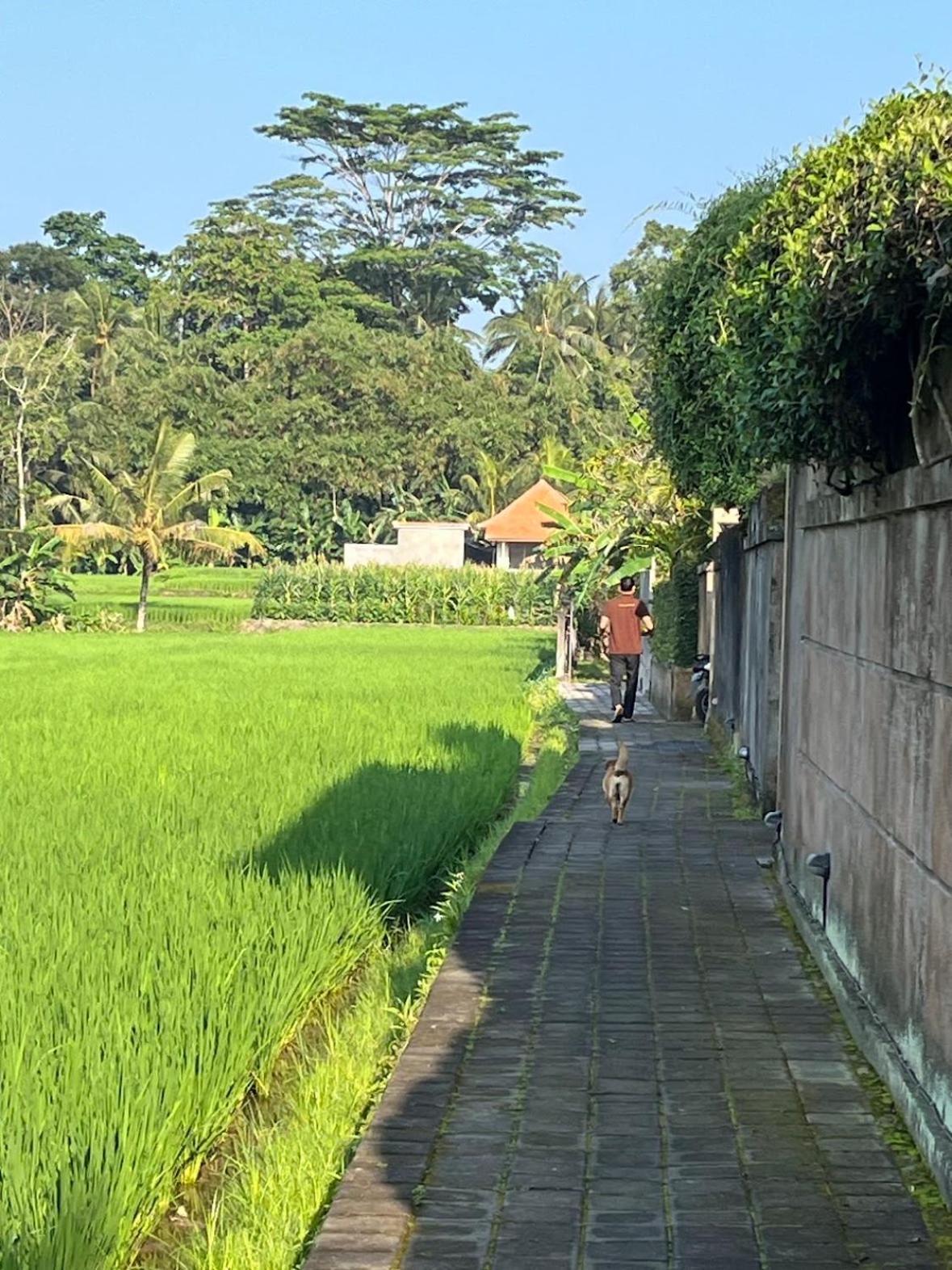 Uma Padi Pousada Ubud